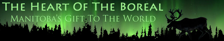 Heart of the Boreal